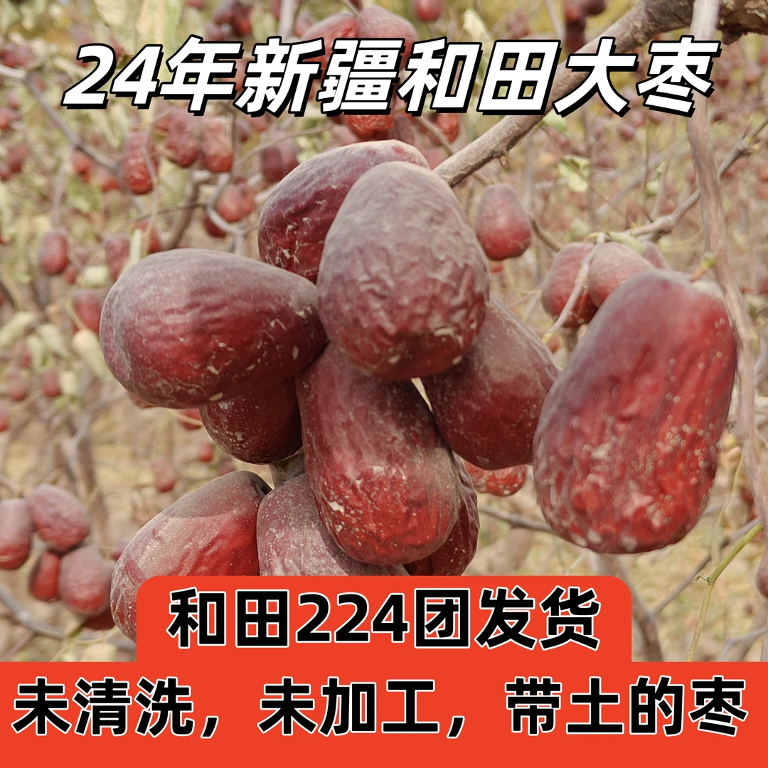 【福利价】新疆和田大枣,未清洗带土自然吊干和田大枣适合煲汤煮粥