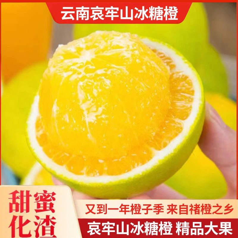 【直播福利】正宗玉溪哀牢山冰糖橙橙子当季新鲜多汁现摘现发