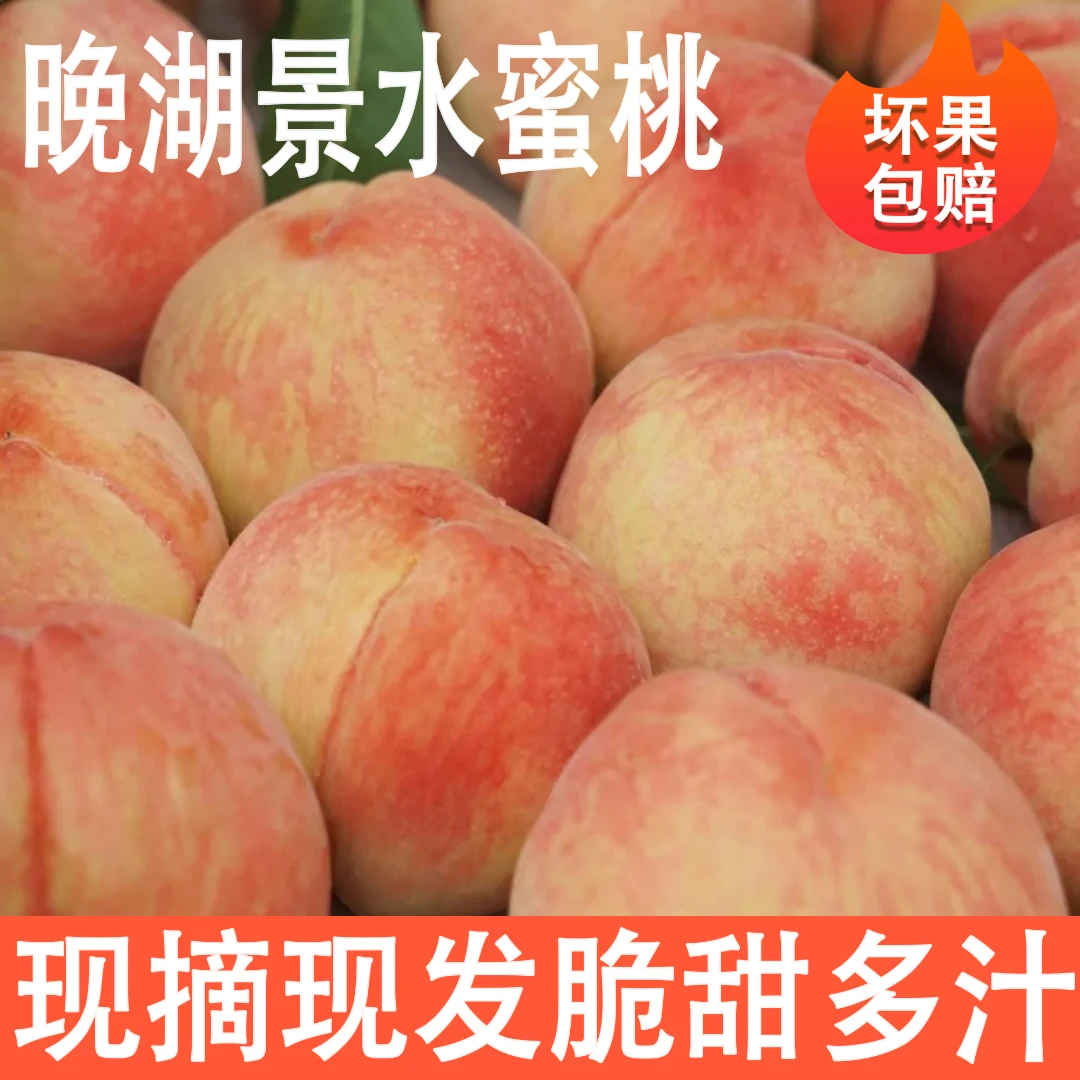 (京东快递)四川现摘水蜜桃桃子新鲜水果晚湖景香甜肉厚