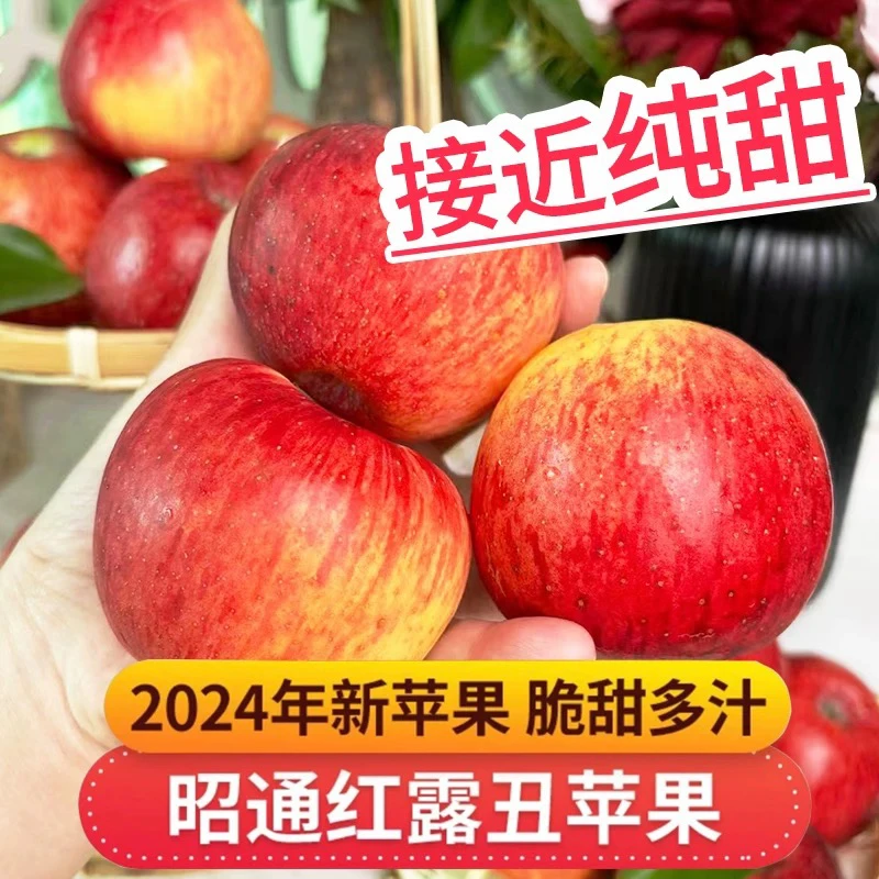 顺丰包邮七彩云南-美丽昭通2024新鲜纯甜红露苹果现摘现发包售后