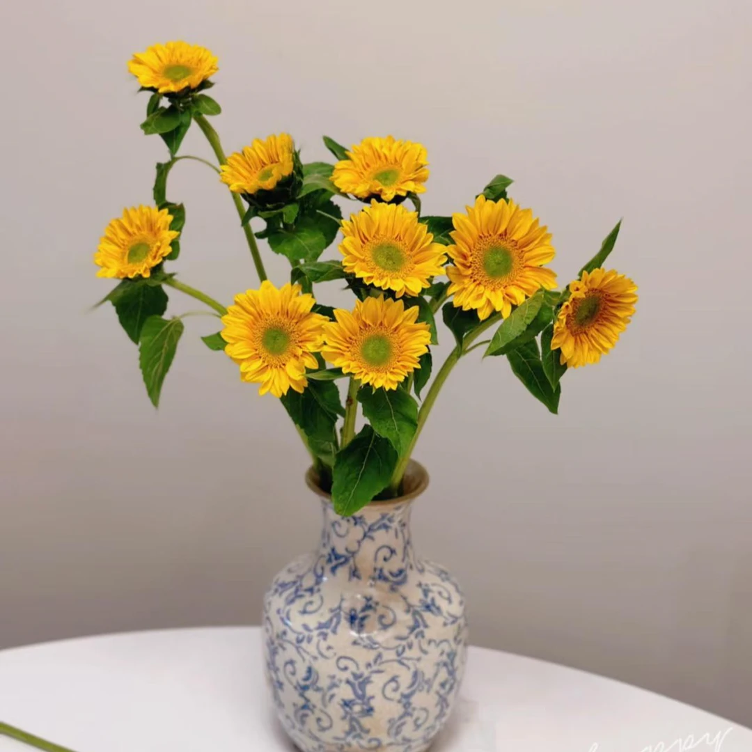 绿心向日葵-3枝-鲜花切花生活花家庭插花日常鲜花今天下单明天送达-任意2单包邮同城