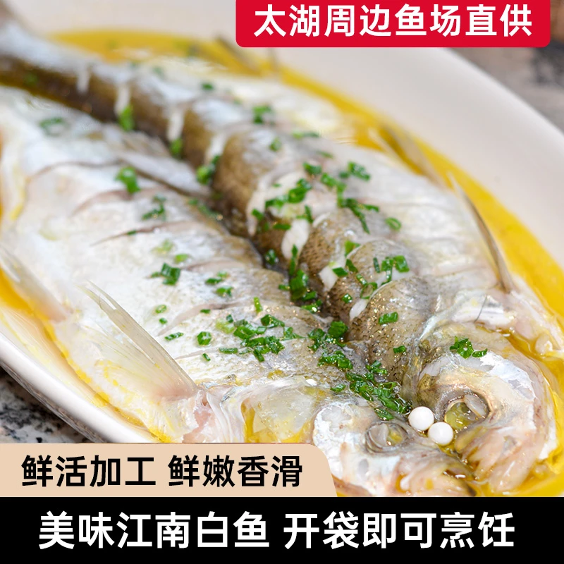 宠粉江南白鱼免洗免杀大白刁400-500克/条鲜活冷冻美味