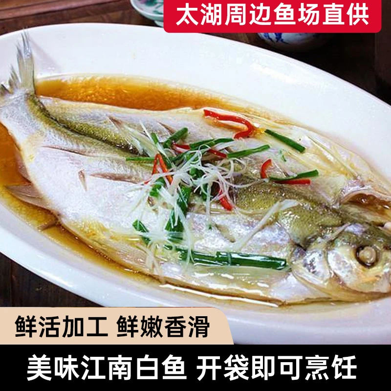 宠粉福利江南白鱼生态免洗免杀400-600克4条鲜活冷冻翘嘴鱼送礼