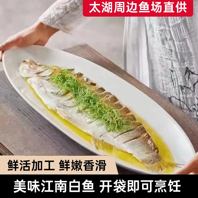 福利价大规格江南白鱼生态免洗杀600-700克/条鲜活冷冻翘嘴鱼送礼