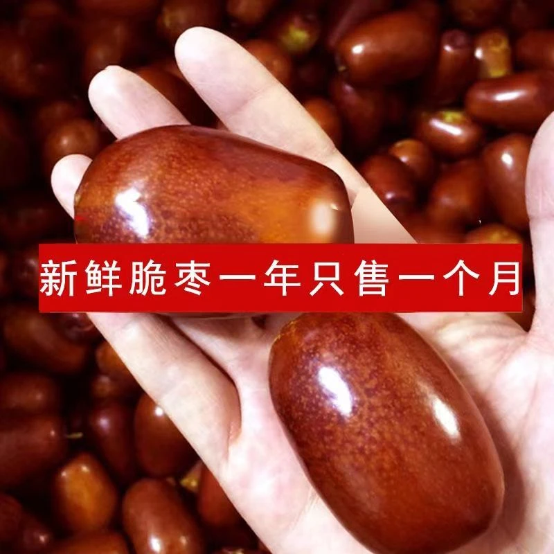 【京东速运】太谷壶瓶枣鲜脆枣产地现发应季枣子3斤/5斤枣中贵族