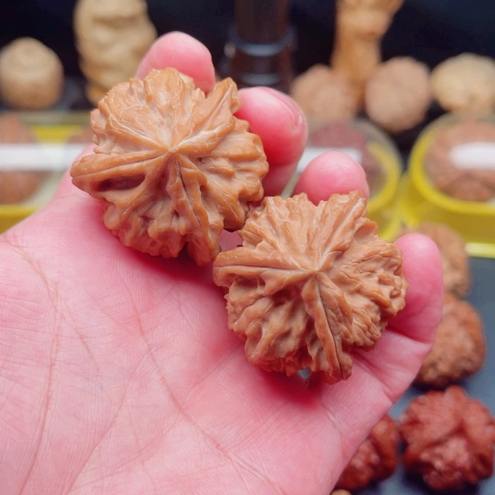 文玩核桃把件曹大龙狮子三棱40×40×39