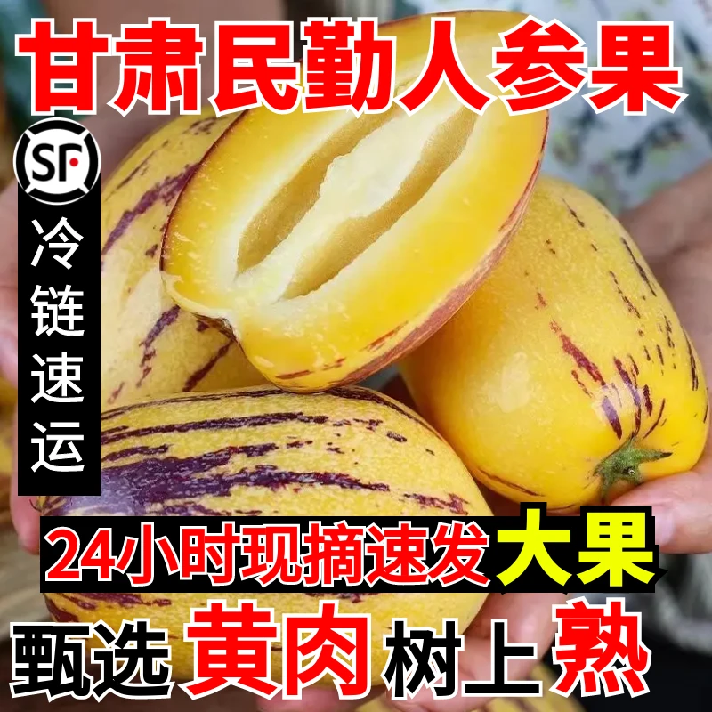 【黄肉大果】甘肃民勤人参果新鲜水果应季孕妇老人低糖人参果包邮