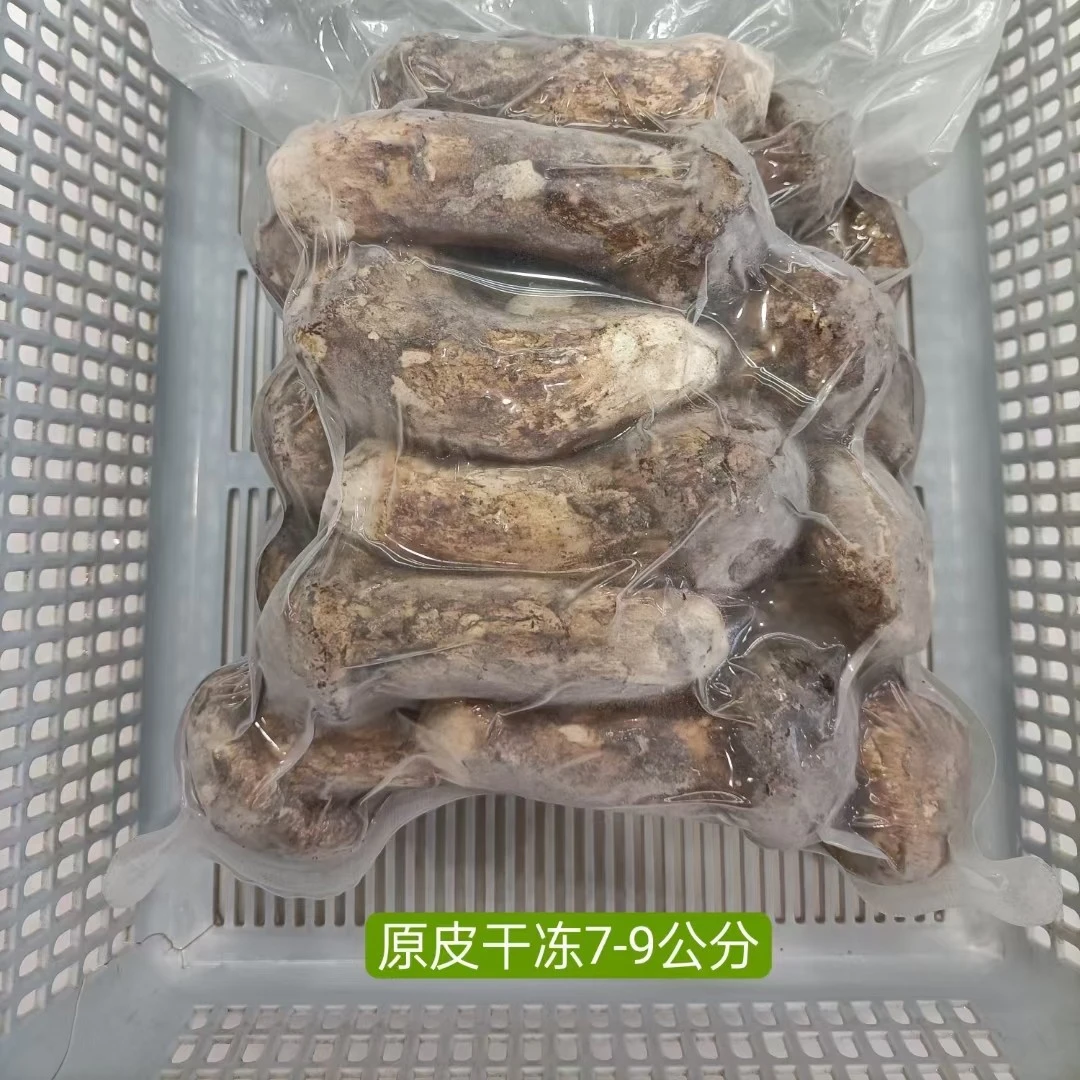 长白山干冻松茸1000克装2024新货建议多拍