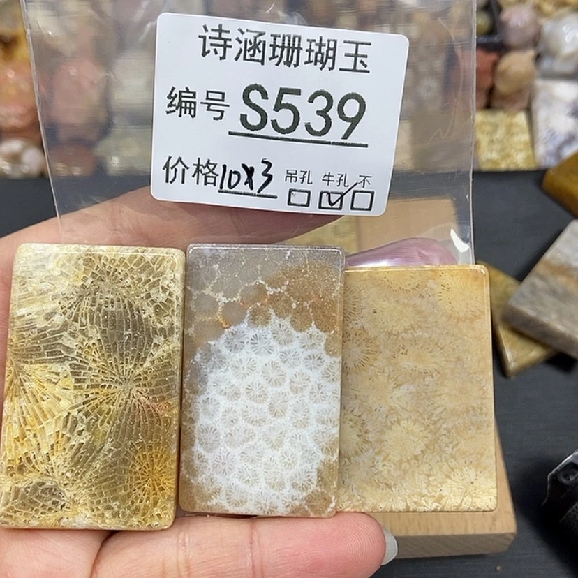 【闪购商品】硅化珊瑚（珊瑚玉）颈饰未镶嵌N****GS539