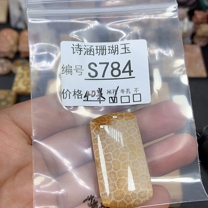 【闪购商品】硅化珊瑚(珊瑚玉)颈饰未镶嵌蓝*儿S784