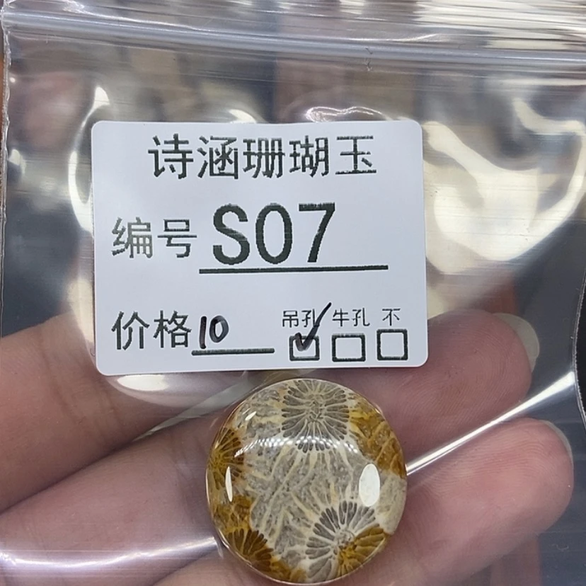 【闪购商品】硅化珊瑚(珊瑚玉)颈饰未镶嵌炸*怪S07