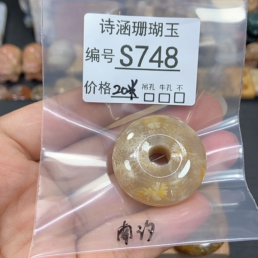 【闪购商品】硅化珊瑚（珊瑚玉）颈饰未镶嵌南*S748