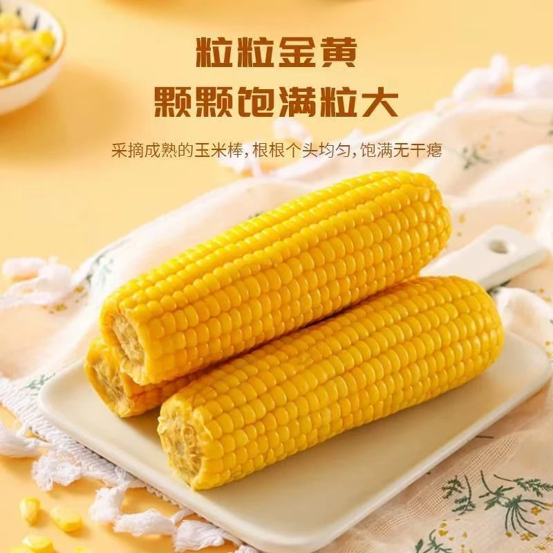 【买5根送5根】黄糯玉米24年精选轻食代餐甜糯到手10根5斤