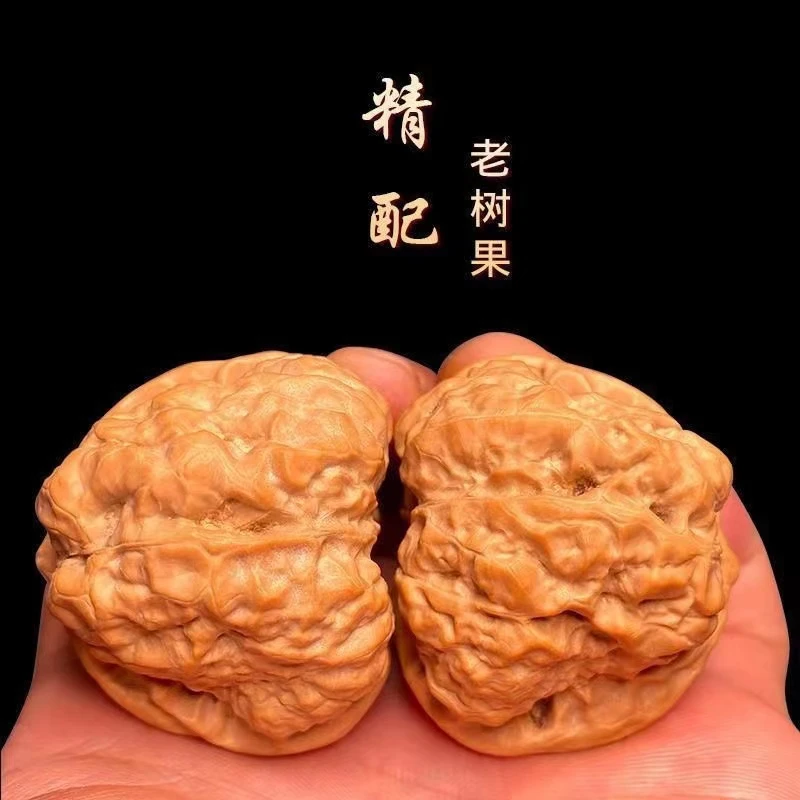 文玩蛤蟆头核桃金蟾蛤蟆头玉化核桃东北小核桃文玩鸡爪南疆石手串