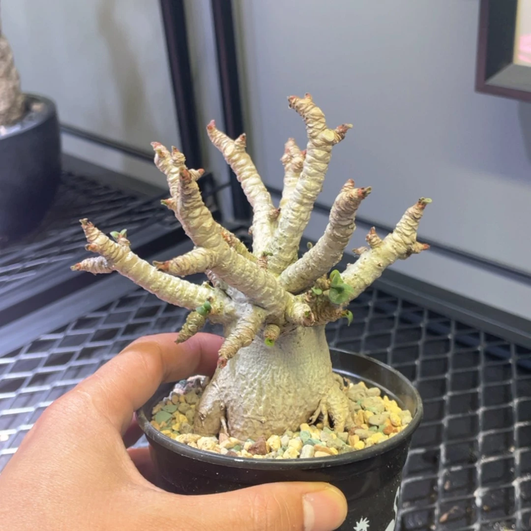 【闪购商品】哈哈哈