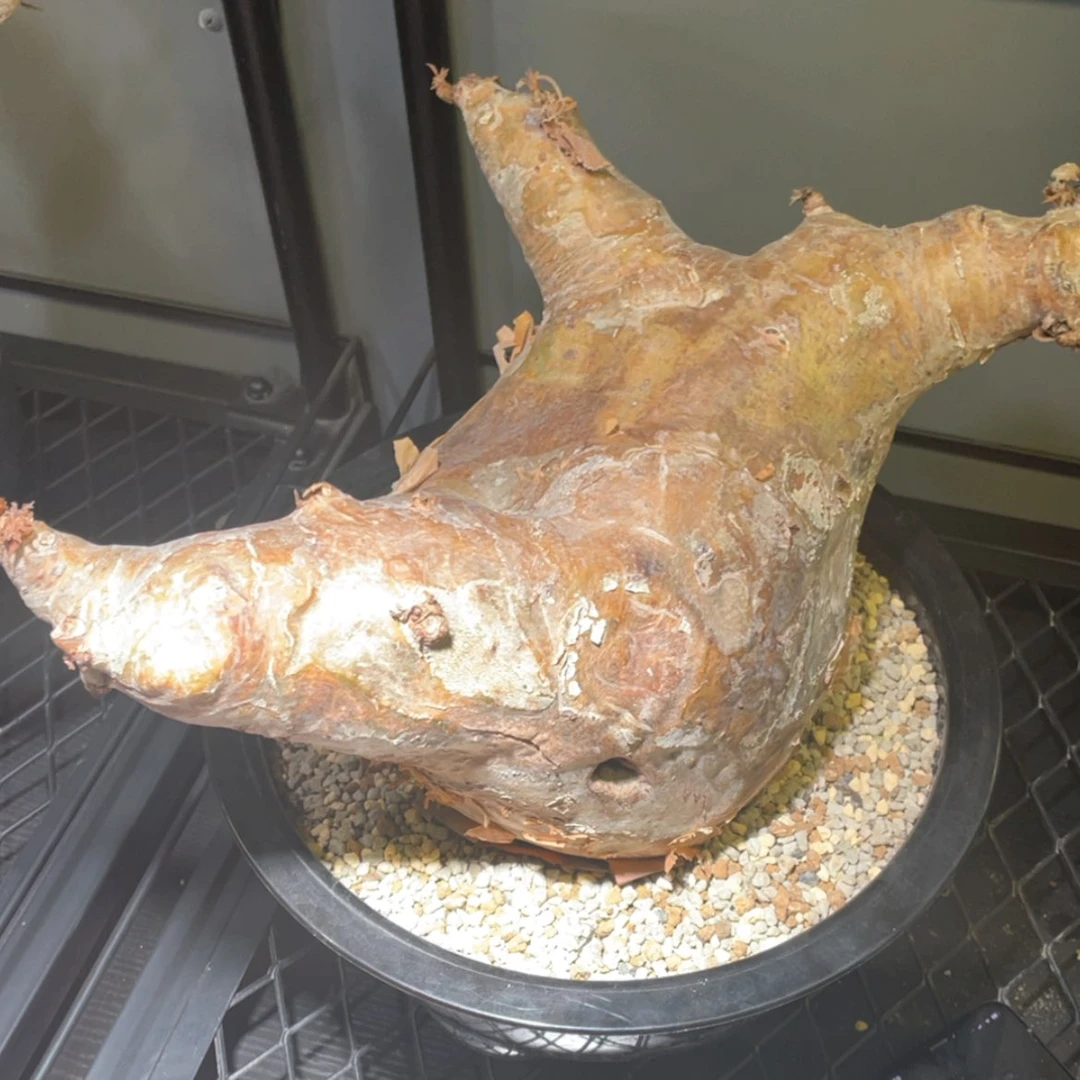 【闪购商品】哈哈哈