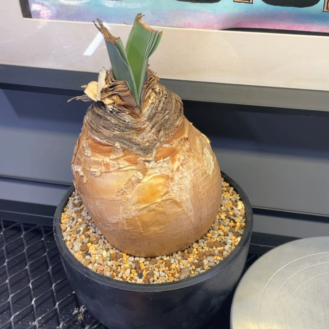 【闪购商品】哈哈哈