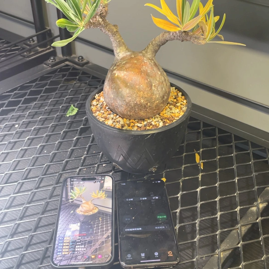 【闪购商品】哈哈哈