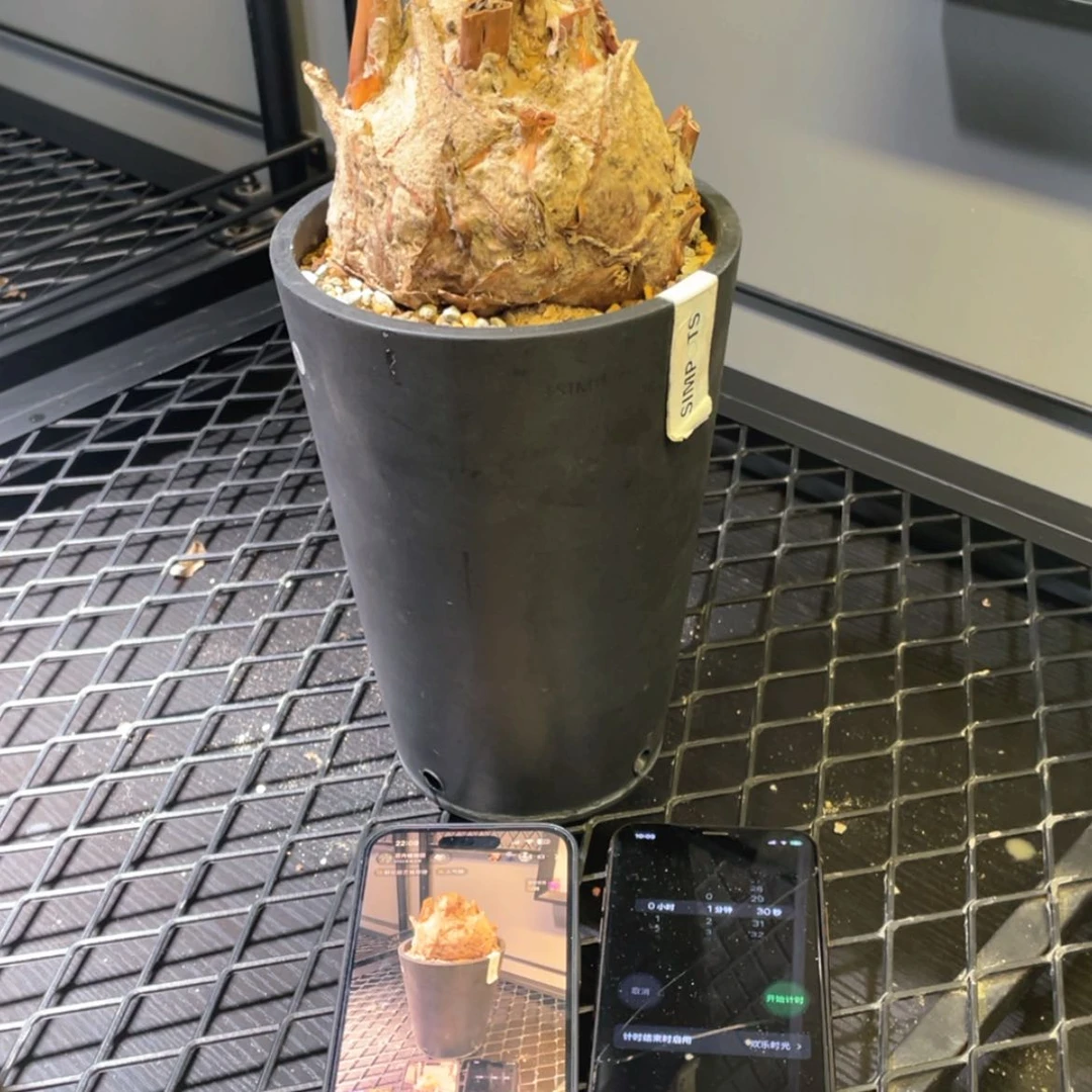 【闪购商品】哈哈哈