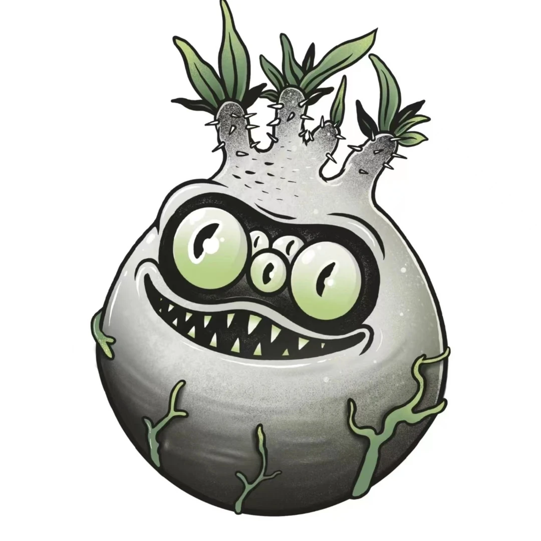 直拍链接龙舌兰块根潮流植物