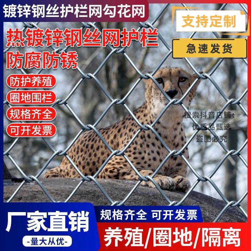 不生锈钢丝网果园勾花网养鸡网拦鸡网牛羊养殖围栏网栅栏网片网格
