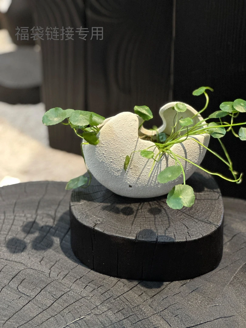 一物一拍链接，以直播间为准.石头造型玄关桌造型台案香樟木原木