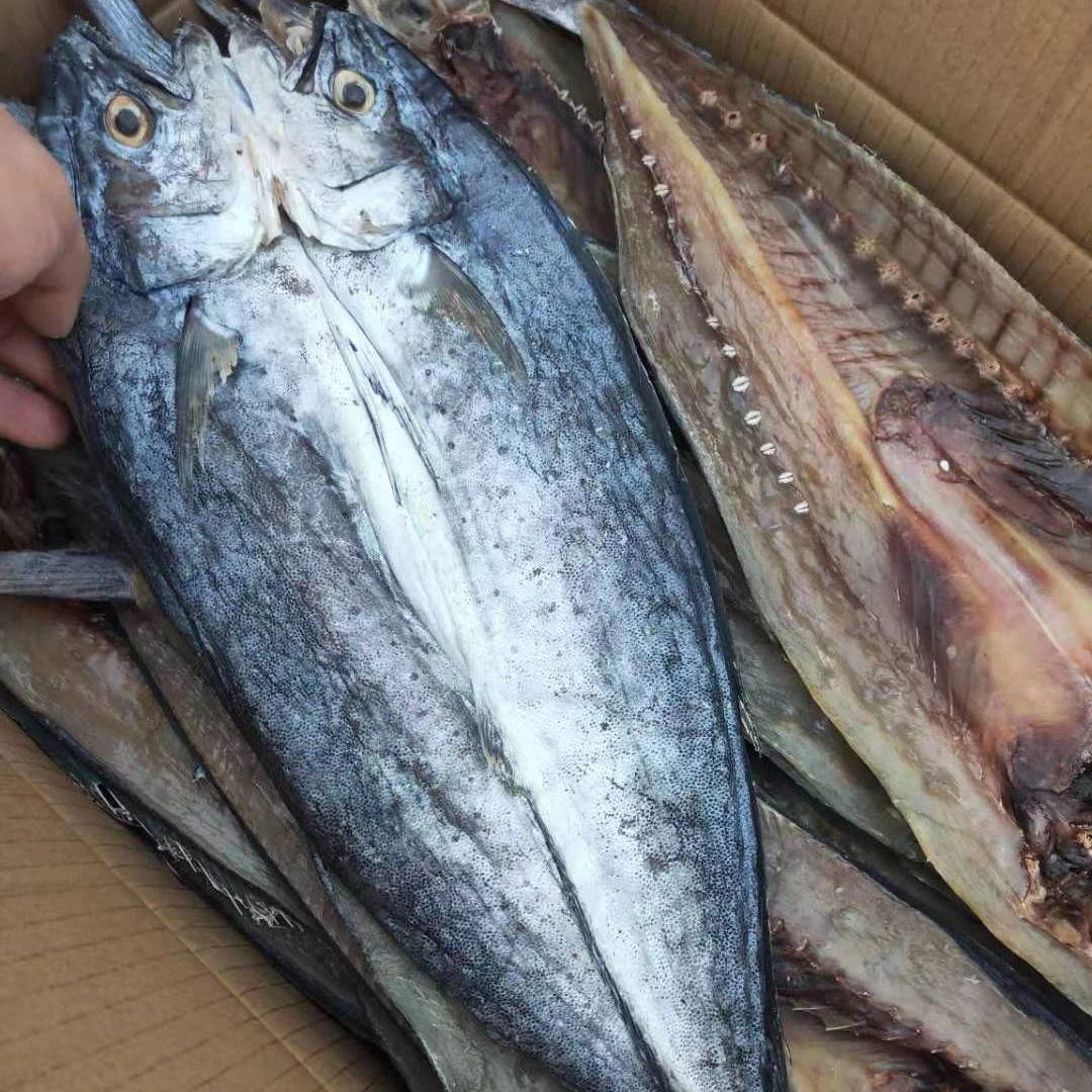 自晒小鱼干咸鱼鲅鱼干 咸刀鲅鱼干海鲜干货渔民腌制海产品