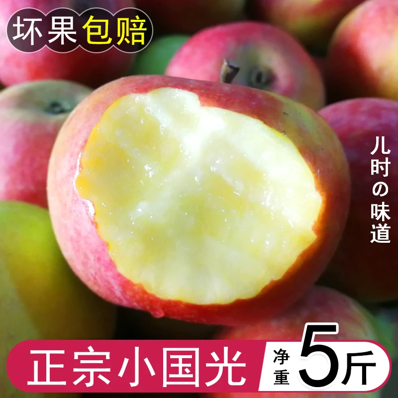 东北小国光苹果 笨果 不打蜡 不套袋 5斤包邮 东北特产 小果光