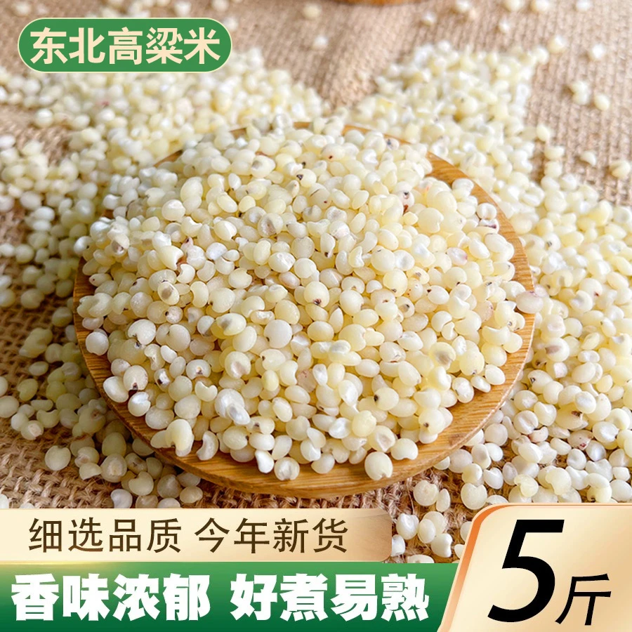 东北特产高粱米新米白高梁米五谷杂粮米辽宁黑山高粱米水饭5斤