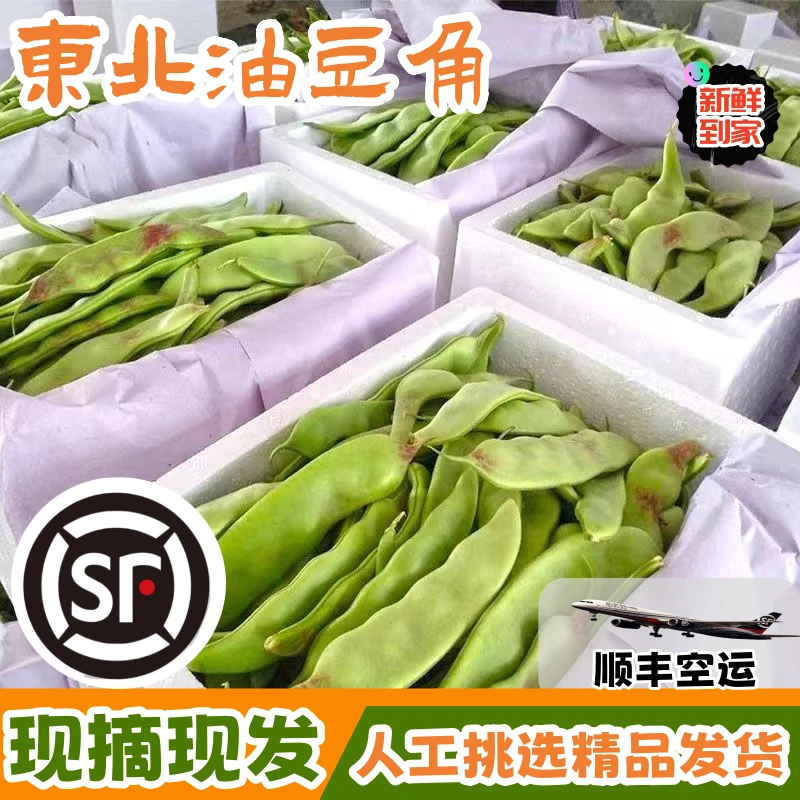 东北油豆角一点红九月青个大开锅烂现摘现发顺丰空运新疆西藏包邮