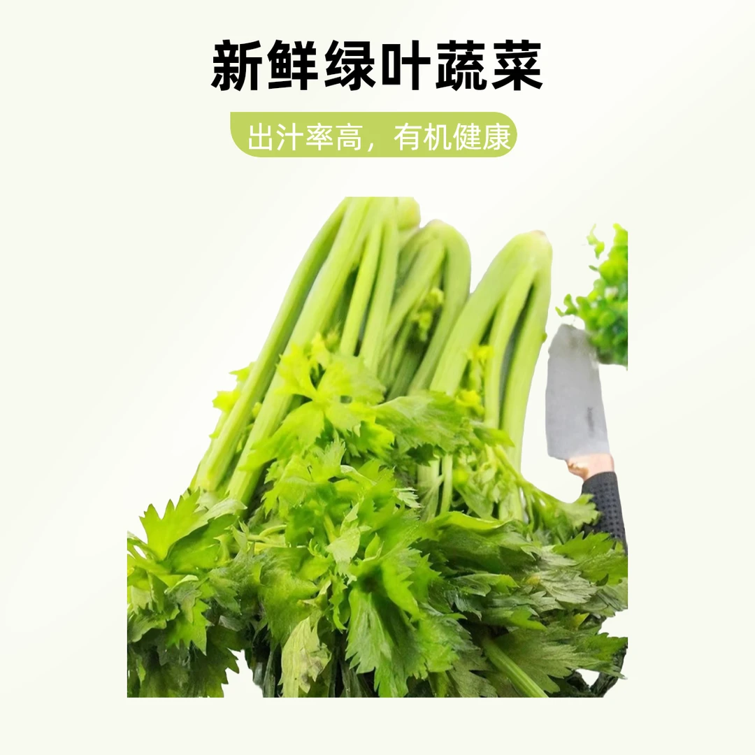 有机西芹，新鲜上市，京东直发