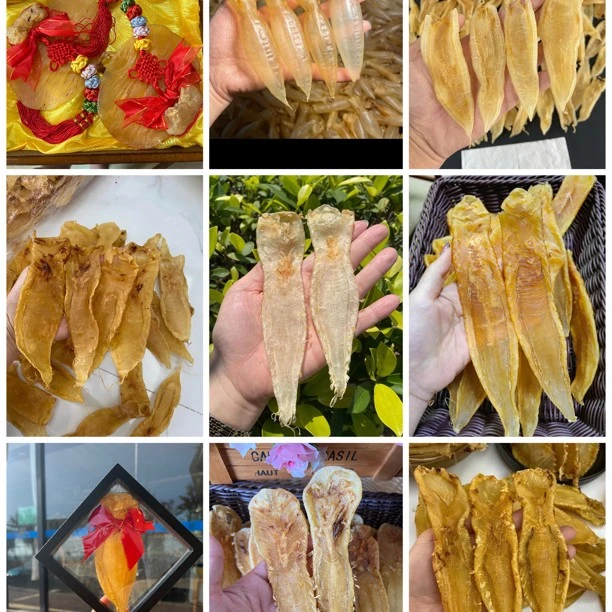 南澳鱼胶1——500克(改价)