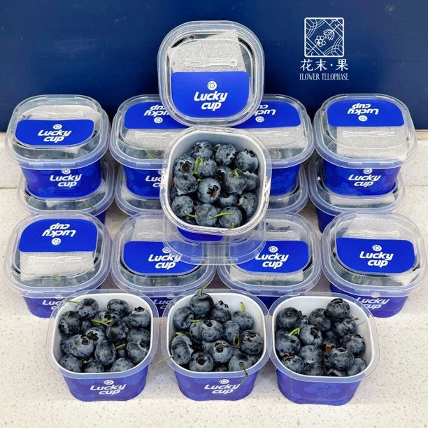 18mm云南脆甜蓝莓180g3盒/32
