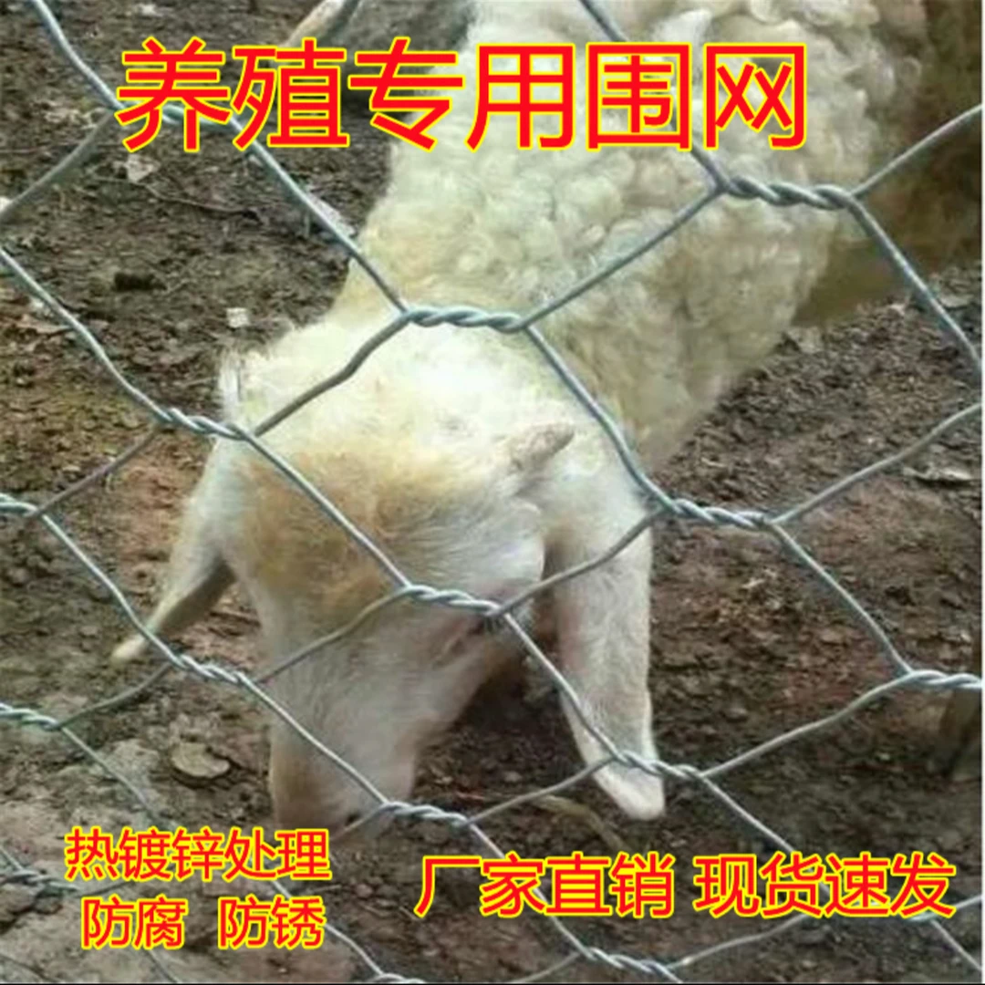 11*13厘米孔热镀锌钢丝网养羊圈地网拧花网