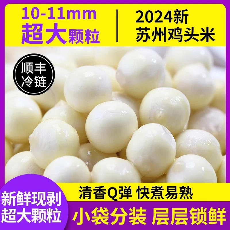 津秋阳澄鸡头米10-11mm超大颗粒2024新鲜苏州特产芡实非干货手剥