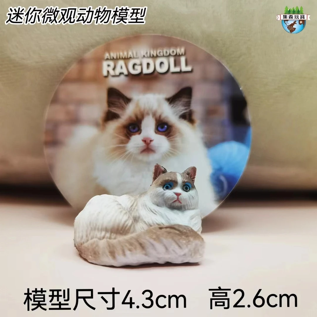 过家家小猫咪玩具！可爱迷你小小公仔猫猫与狗狗宠物公仔玩偶摆件