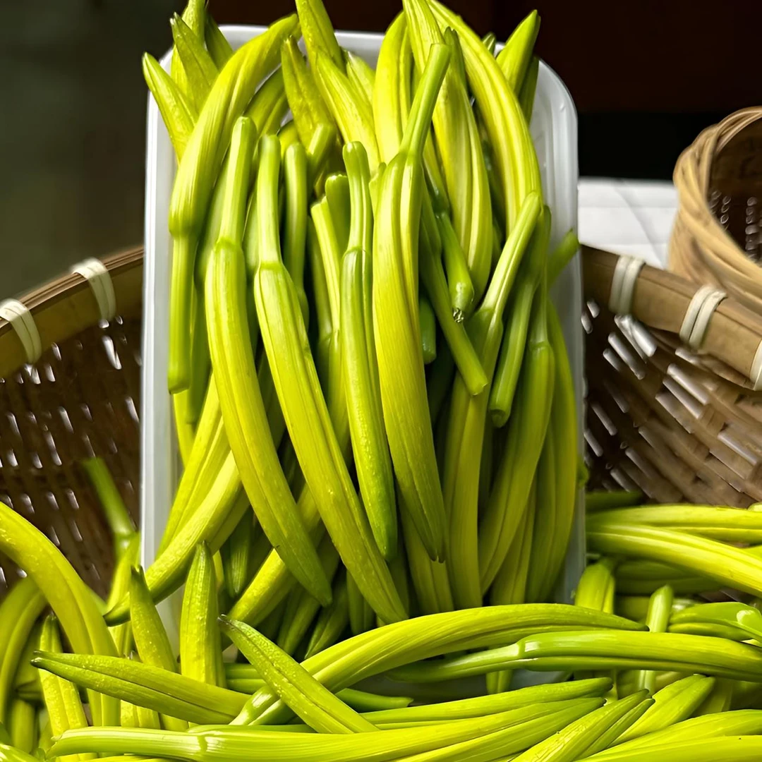 现摘新鲜黄花菜农家自种金针菜0.5-4斤时令蔬菜凉拌菜新鲜蔬菜