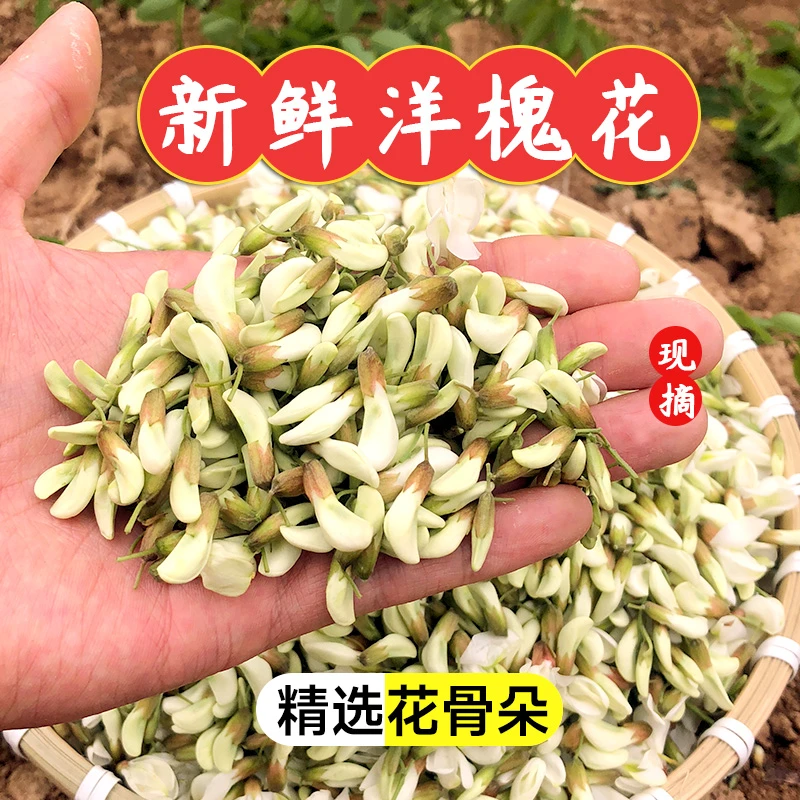 2025年陕西秦岭大山洋槐花新鲜花骨朵精选花苞1/2/3/4斤新鲜野菜