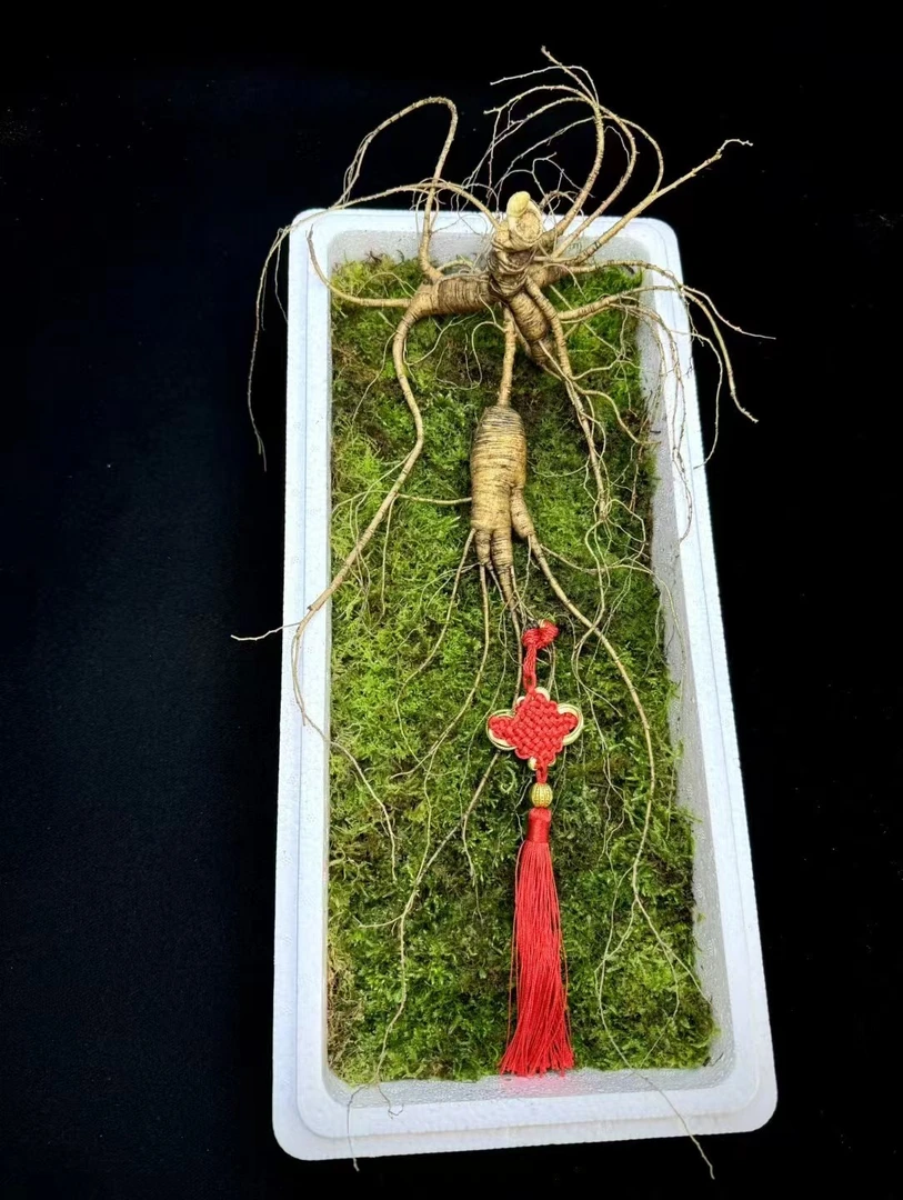 长白山人参林下参直播改价链接截图为准