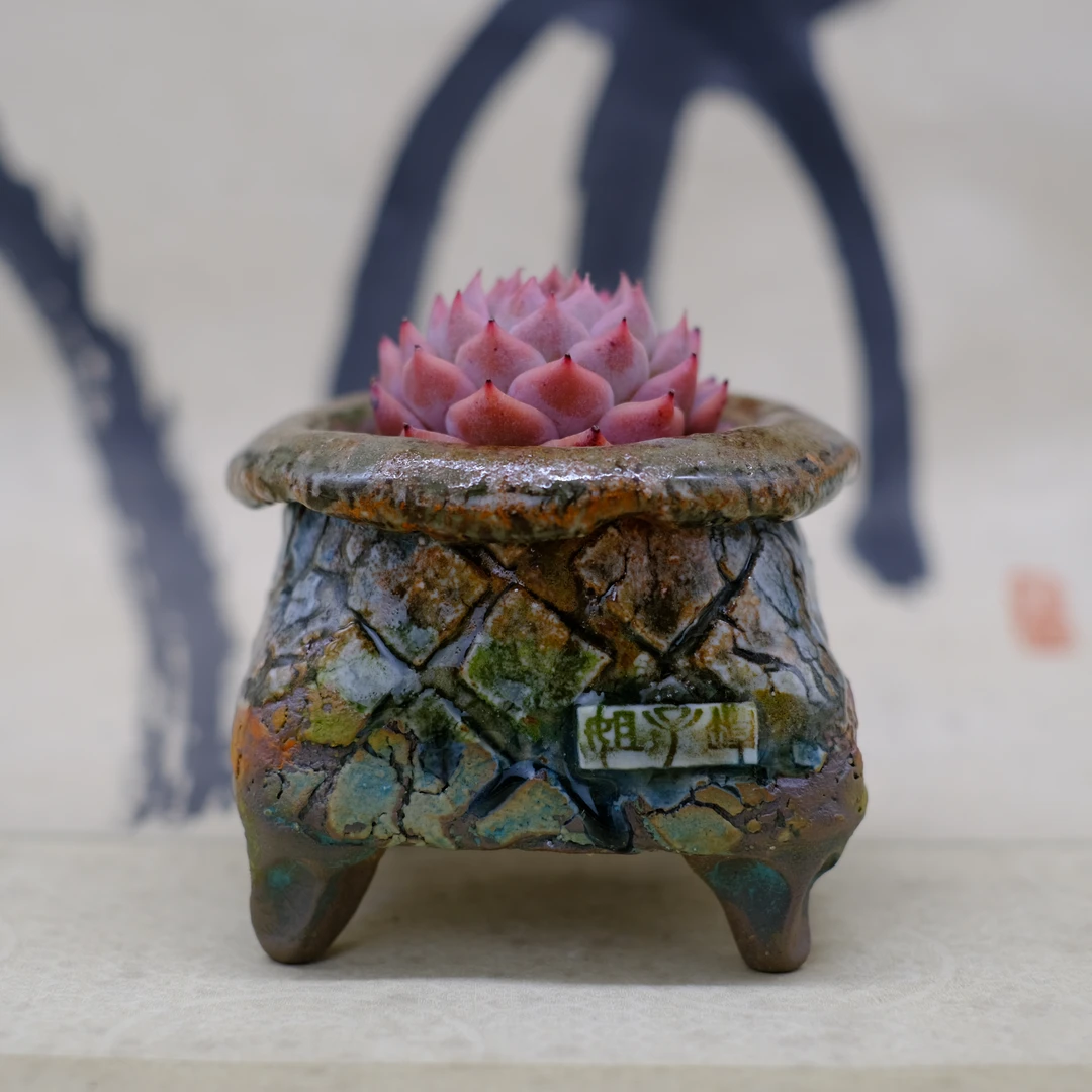 坛子姐枯木系列1陶瓷手工多肉花盆