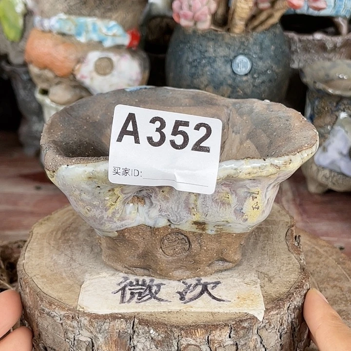 紫砂花盆开播福利 陶瓷花盆