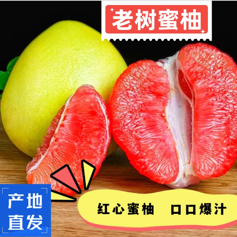 【精品果王】新鲜采摘四川三红柚蜜柚香甜多汁(2-3个装)10斤