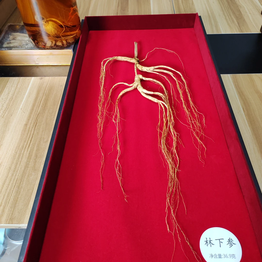 【野外大山自然自然生长】长芦单支大克重 泡水煲汤泡酒 礼盒礼袋