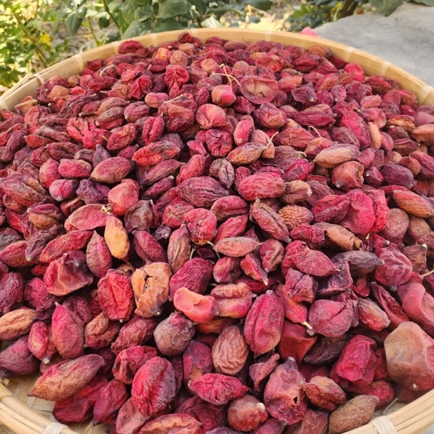 西藏山货鬼臼果 桃儿七