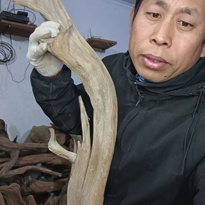 【闪购商品】北****园