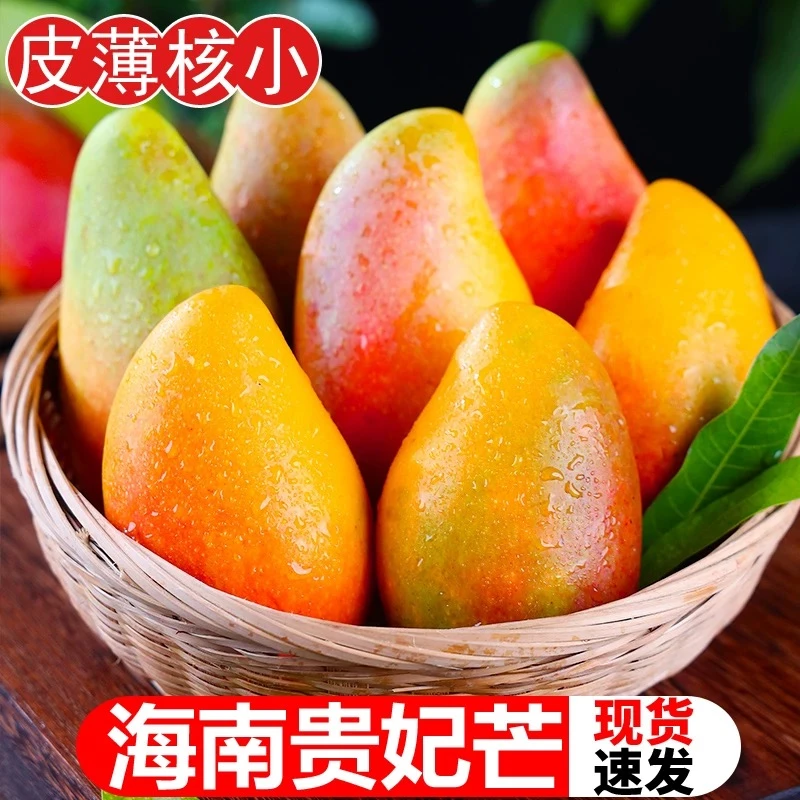 海南树上熟贵妃芒 产地直发 香甜多汁