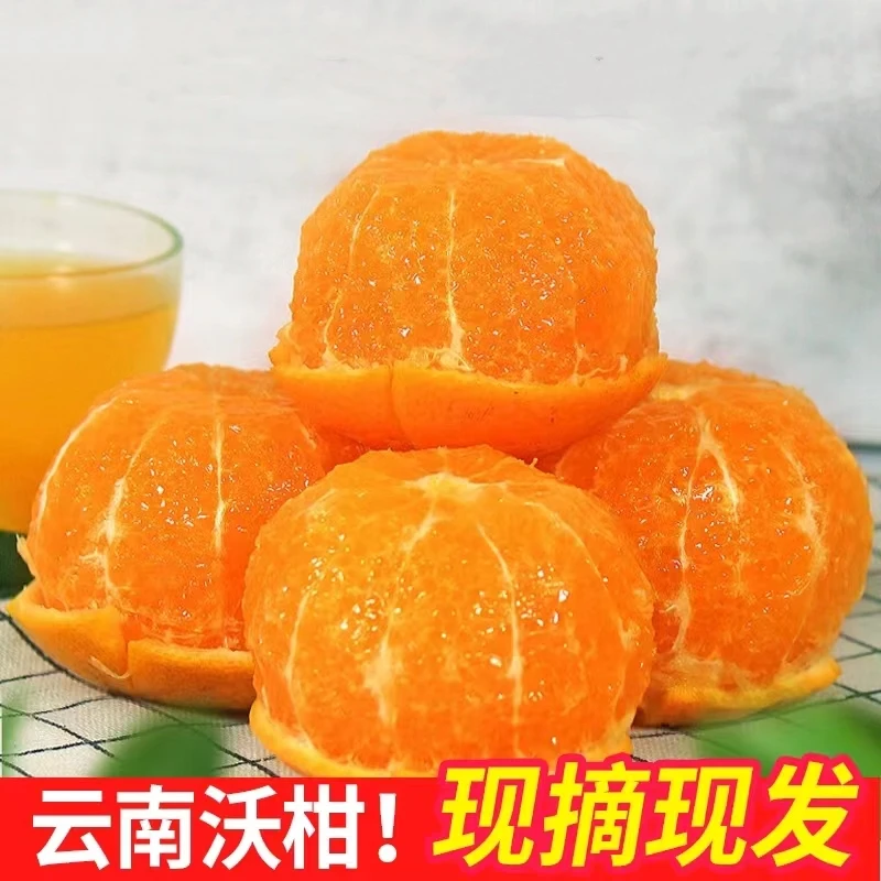 云南高原沃柑 鲜甜多汁自然成熟优质皮薄时令产地发货品质新鲜