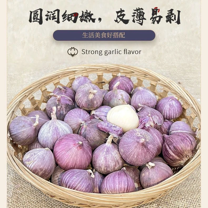 新鲜干蒜 独头大蒜2023年新货紫皮独头大蒜3/5斤饱满肉厚脆嫩包邮