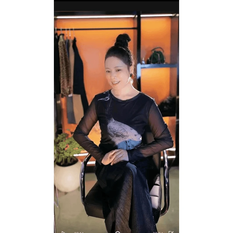【蝶恋花定制】时尚印花网纱t恤女长袖2024新款洋气打底高级感上衣