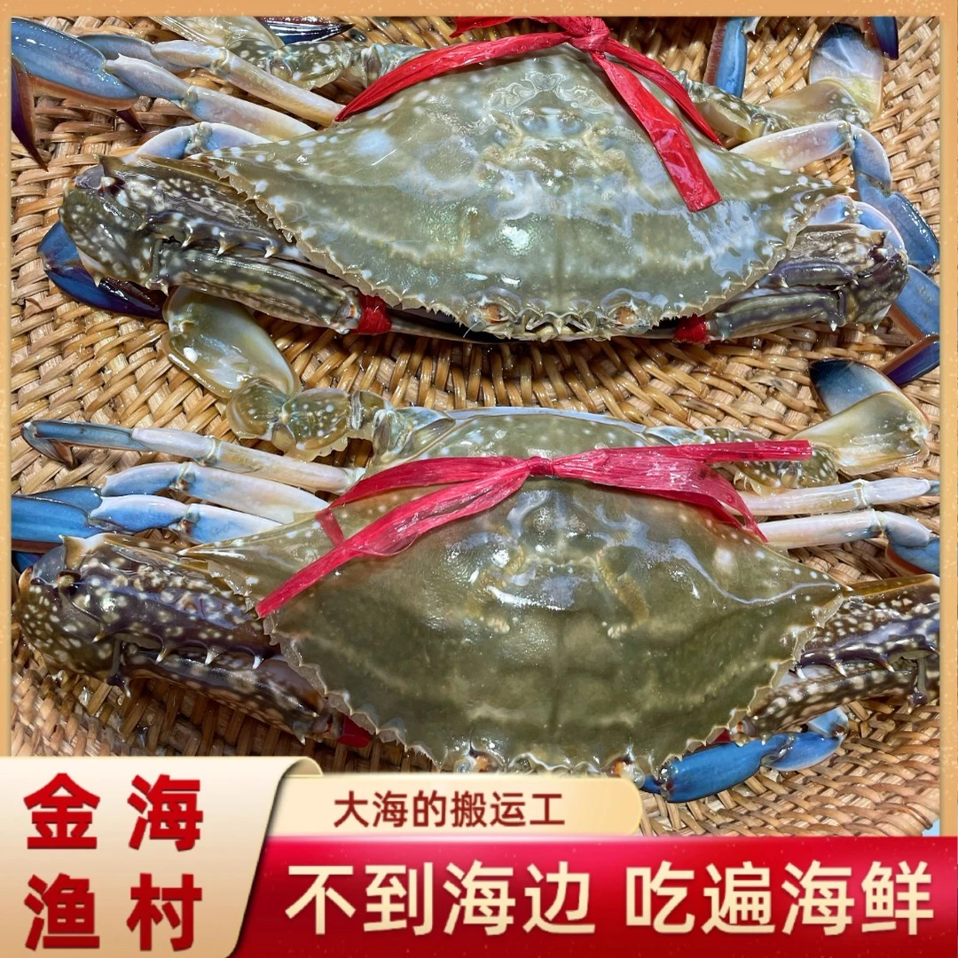 中鲜活花蟹特价 70元2斤
